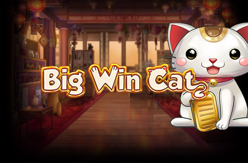 Big Win Cat