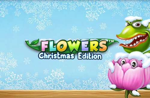 Flowers Christmas Edition